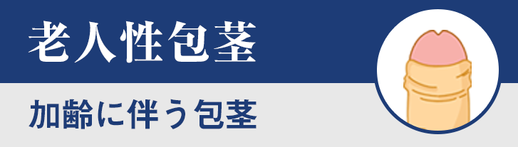 老人性包茎（ 加齢に伴う包茎）
